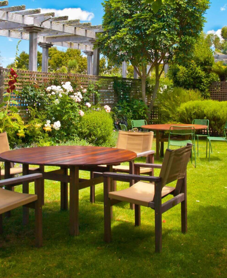 Drzewa tlenowce – wszystko co trzeba wiedzieć o Oxytree