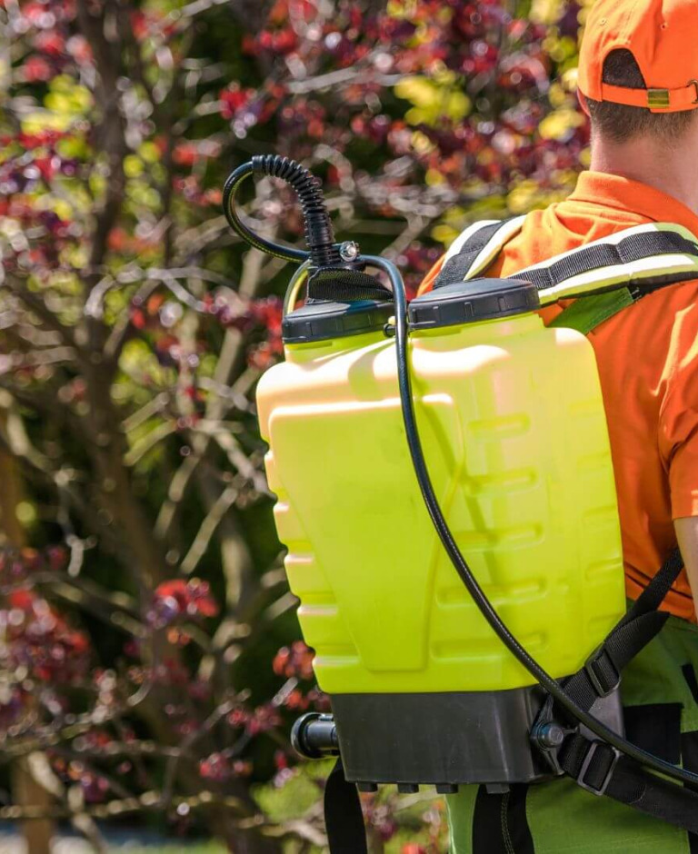 Jaki opryskiwacz akumulatorowy kupić? Poradnik