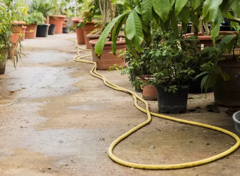 Co zrobić, żeby wąż ogrodowy się nie zaginał?