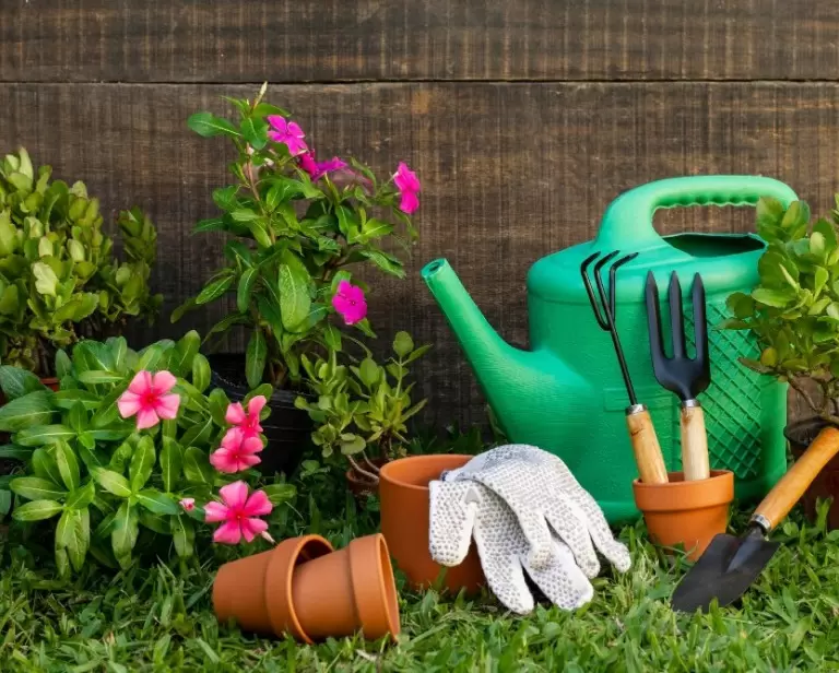 Przygotowanie ogrodu do sezonu: Jakie narzędzia ogrodnicze będą niezbędne w pracy wiosennej?