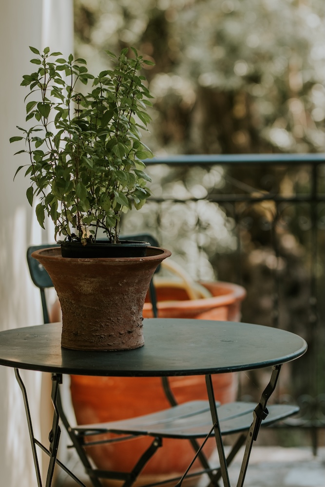 mały balkon - inspiracje z roślinami w donicach mały balkon - inspiracje z czarnym stolikiem i rośliną w doniczce