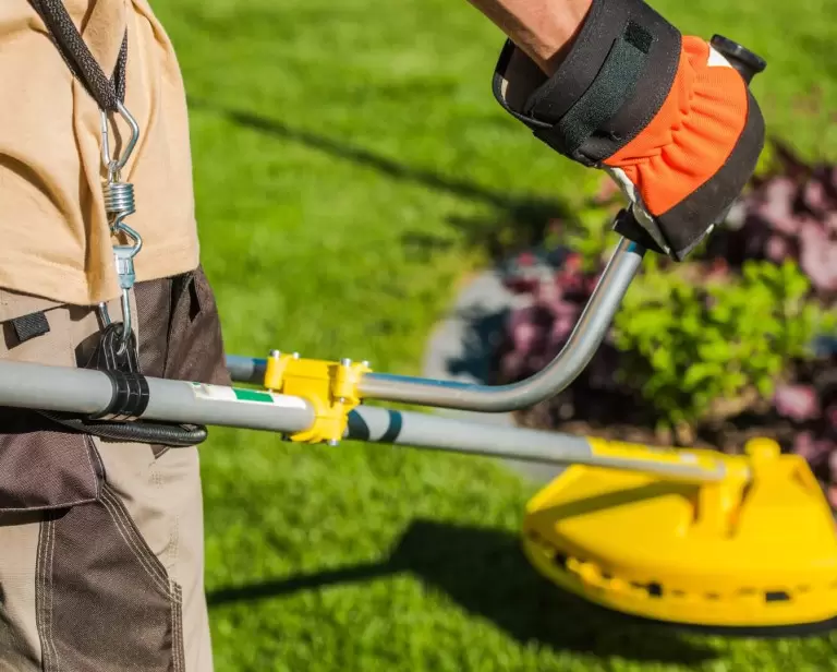 Podkaszarka akumulatorowa – ranking TOP 5