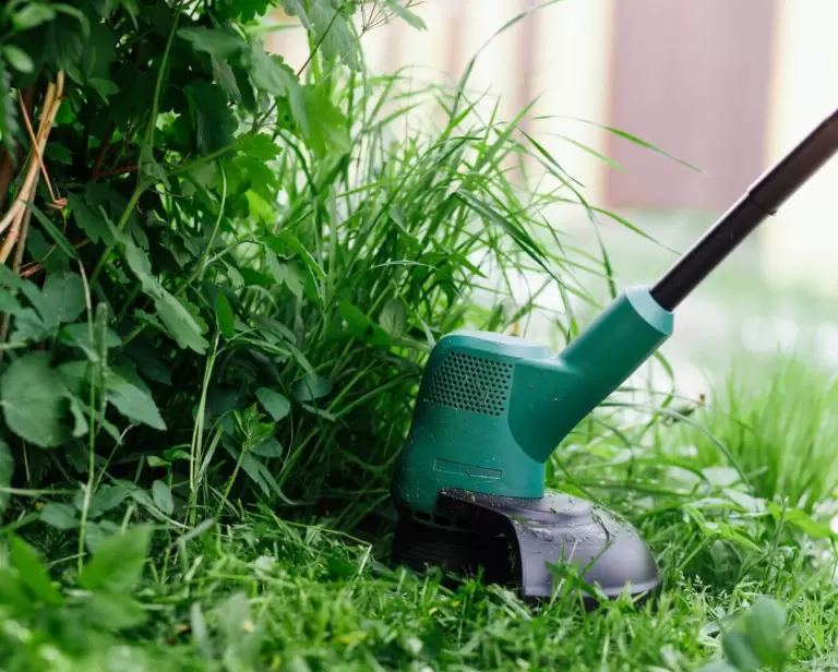 Najlepsza podkaszarka elektryczna – kluczowe parametry i polecane modele